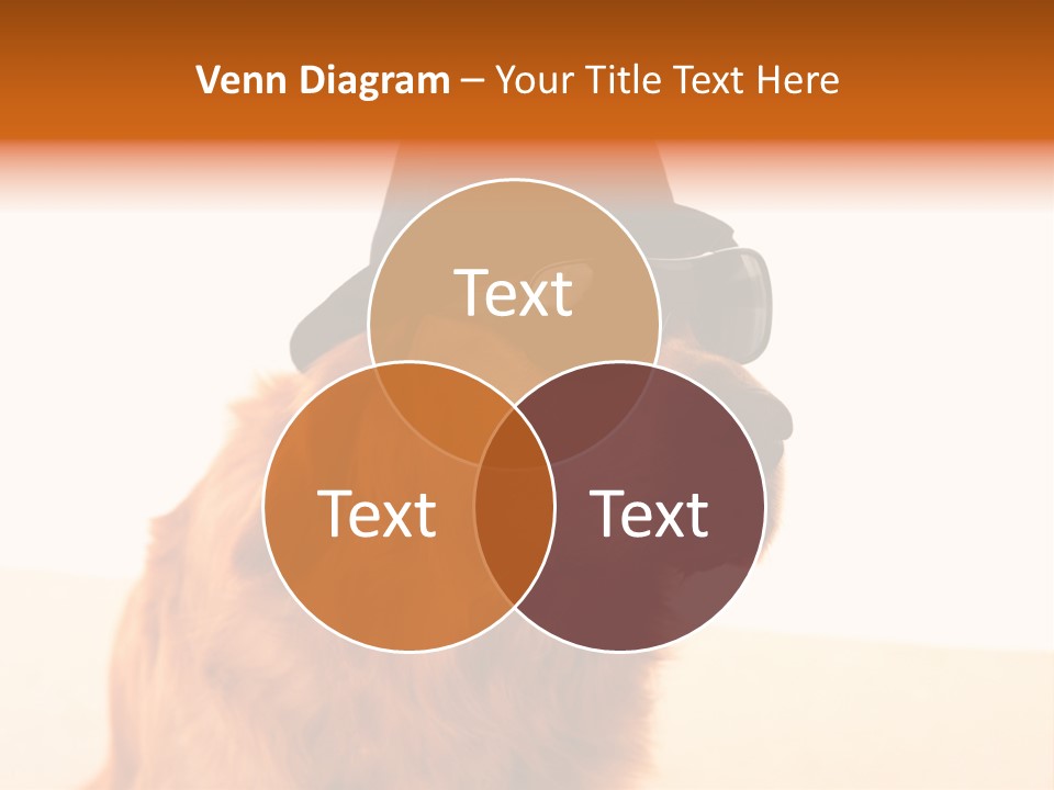 Healthy Background Pup PowerPoint Template