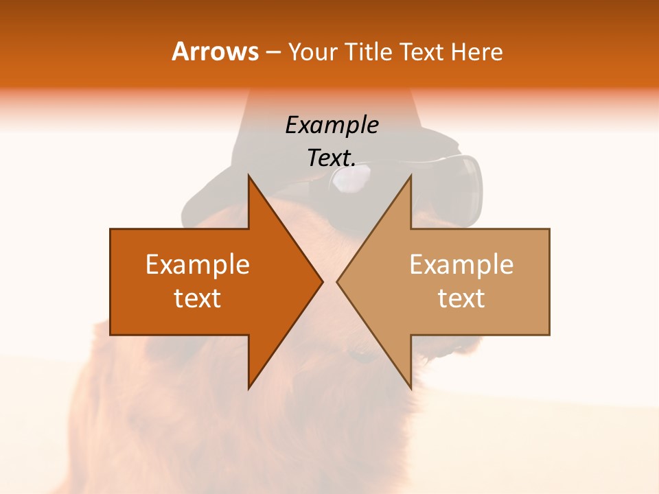 Healthy Background Pup PowerPoint Template