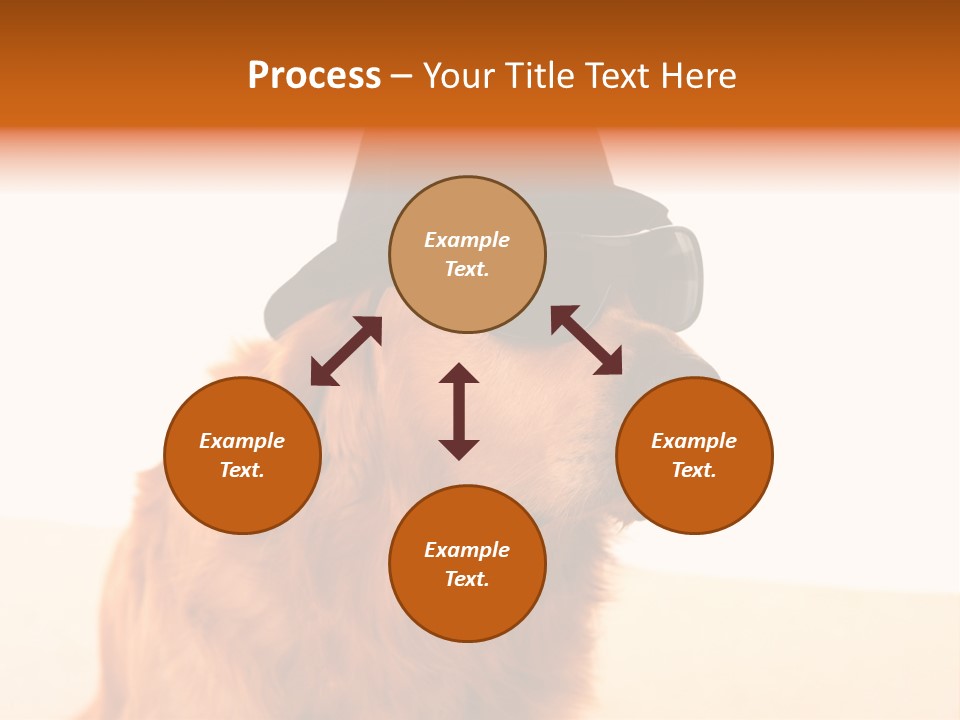 Healthy Background Pup PowerPoint Template