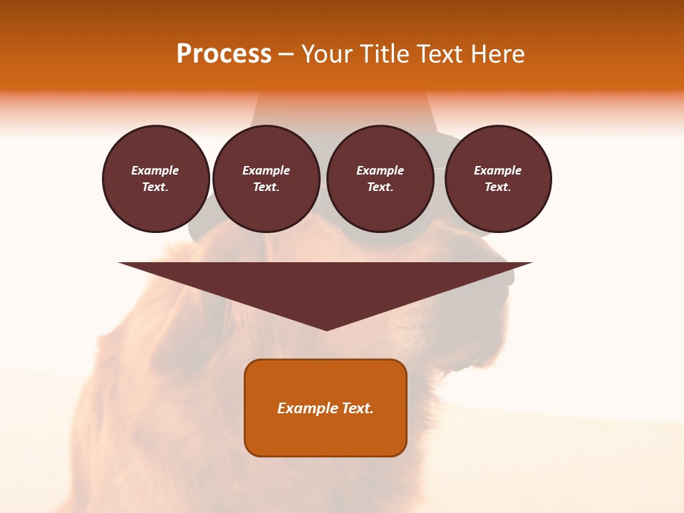 Healthy Background Pup PowerPoint Template