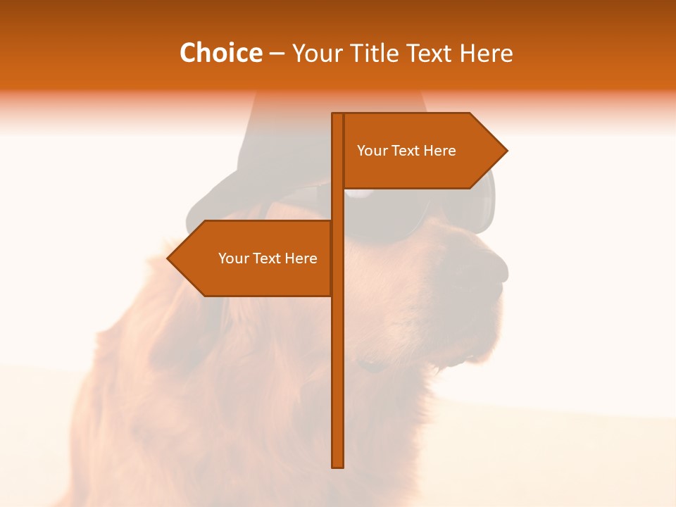 Healthy Background Pup PowerPoint Template