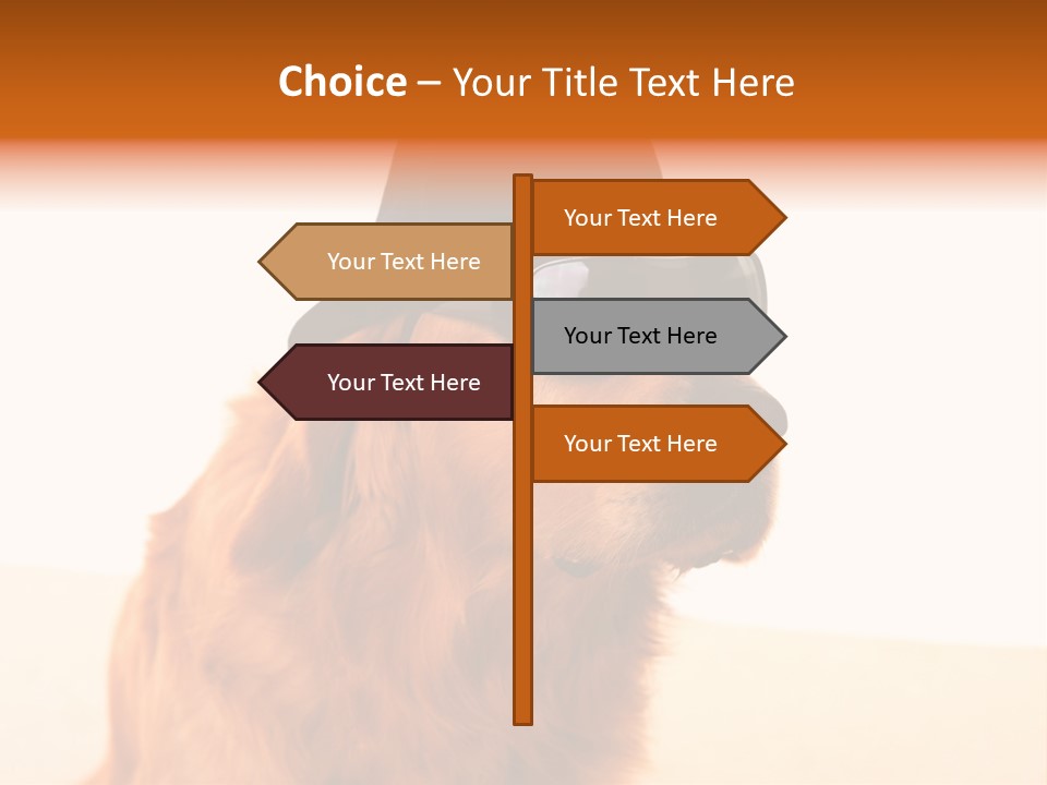 Healthy Background Pup PowerPoint Template