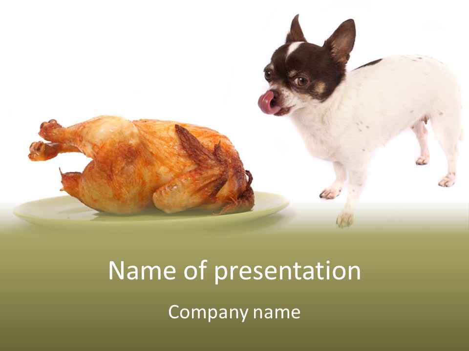 Dinner Shorthaired Shorthair PowerPoint Template