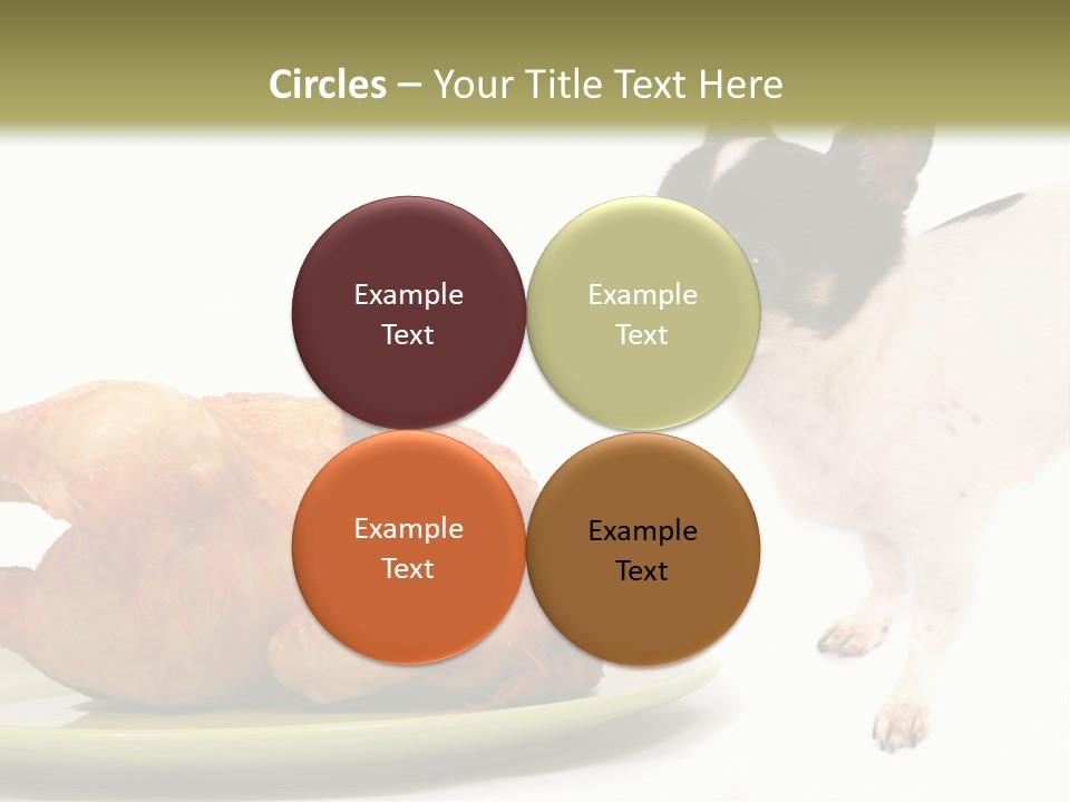 Dinner Shorthaired Shorthair PowerPoint Template