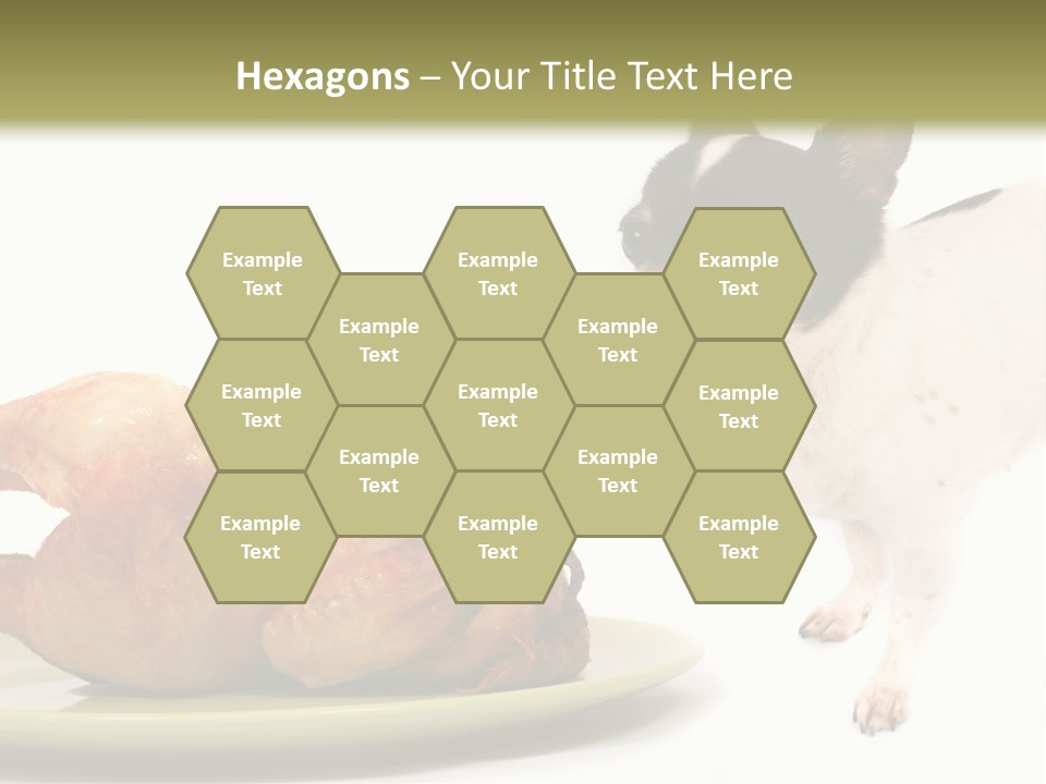 Dinner Shorthaired Shorthair PowerPoint Template