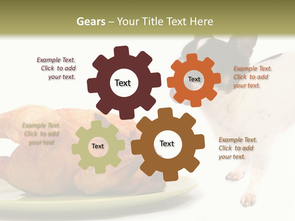 Dinner Shorthaired Shorthair PowerPoint Template