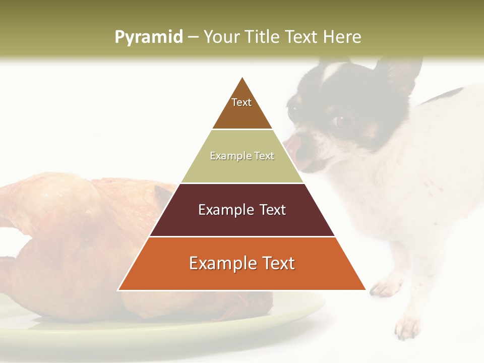 Dinner Shorthaired Shorthair PowerPoint Template