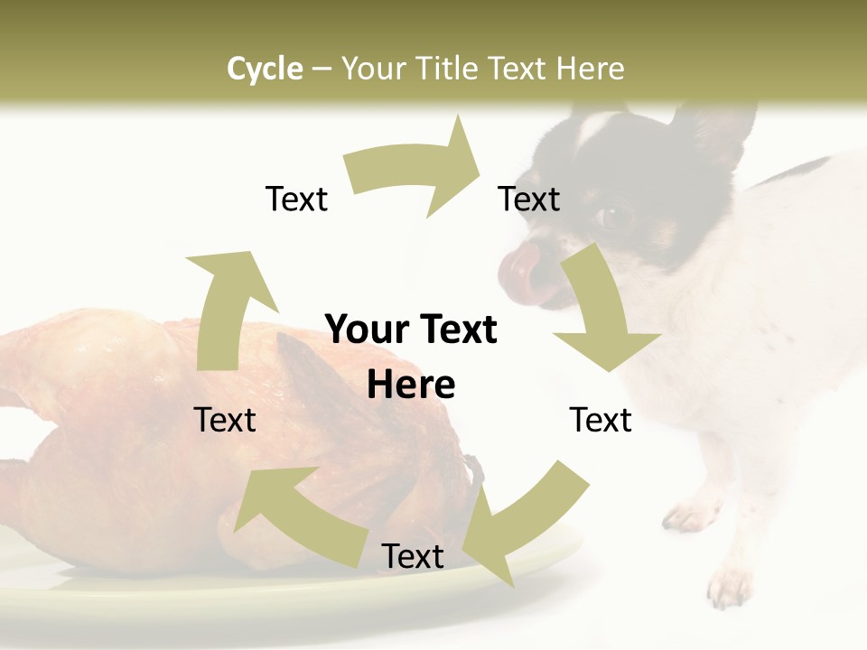 Dinner Shorthaired Shorthair PowerPoint Template