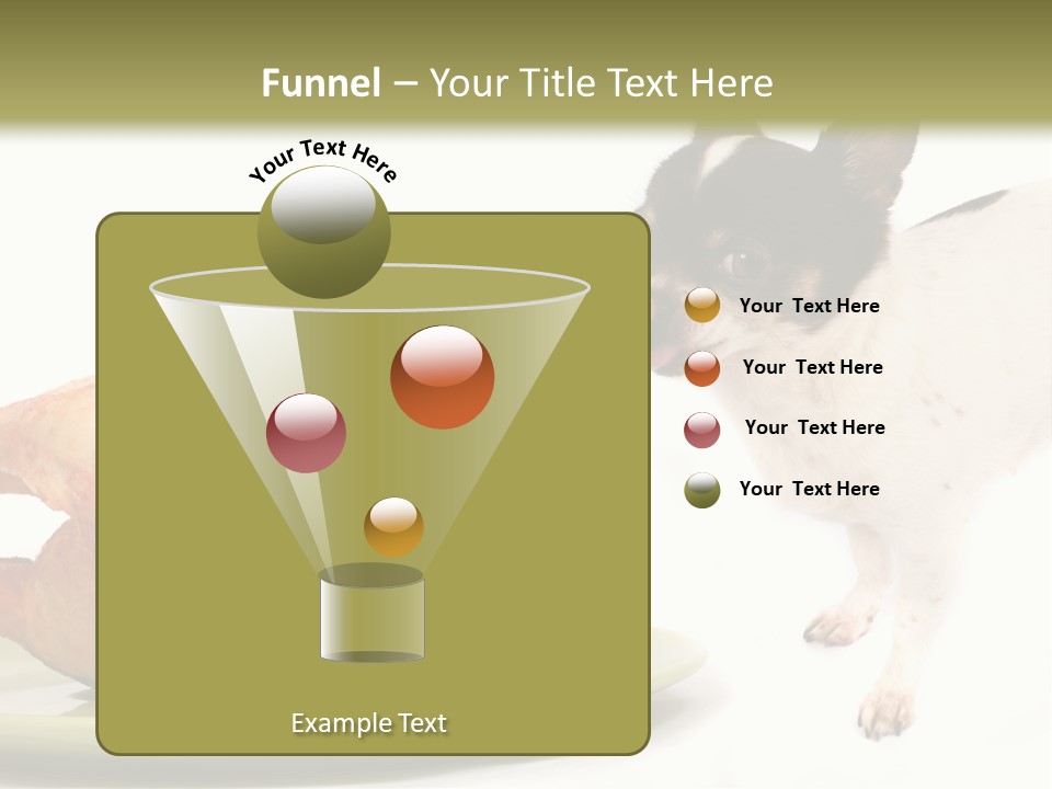 Dinner Shorthaired Shorthair PowerPoint Template