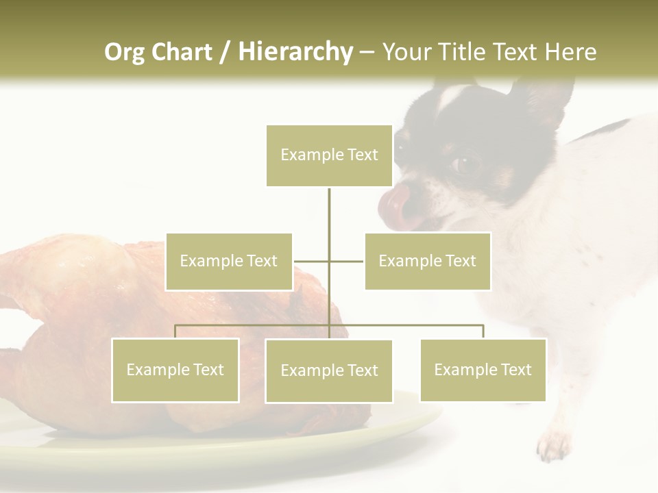 Dinner Shorthaired Shorthair PowerPoint Template