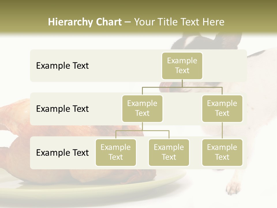 Dinner Shorthaired Shorthair PowerPoint Template