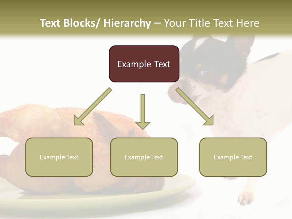 Dinner Shorthaired Shorthair PowerPoint Template