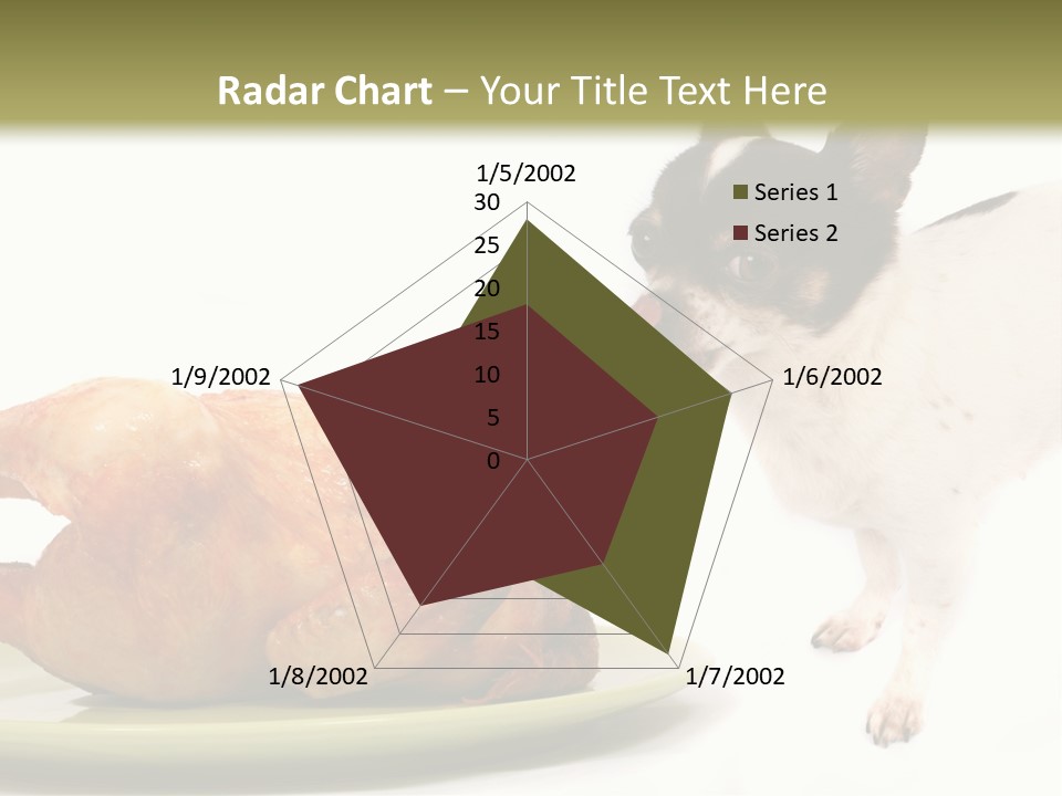 Dinner Shorthaired Shorthair PowerPoint Template
