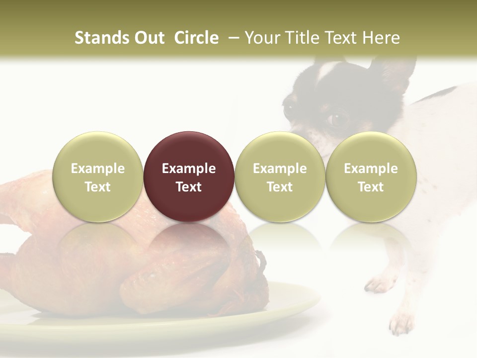 Dinner Shorthaired Shorthair PowerPoint Template