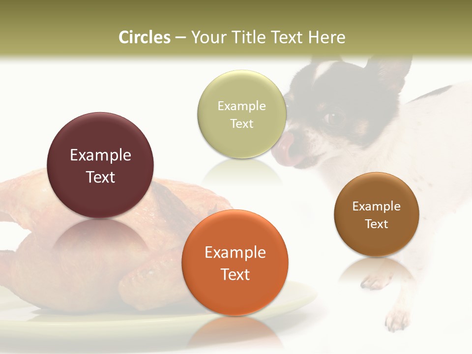 Dinner Shorthaired Shorthair PowerPoint Template