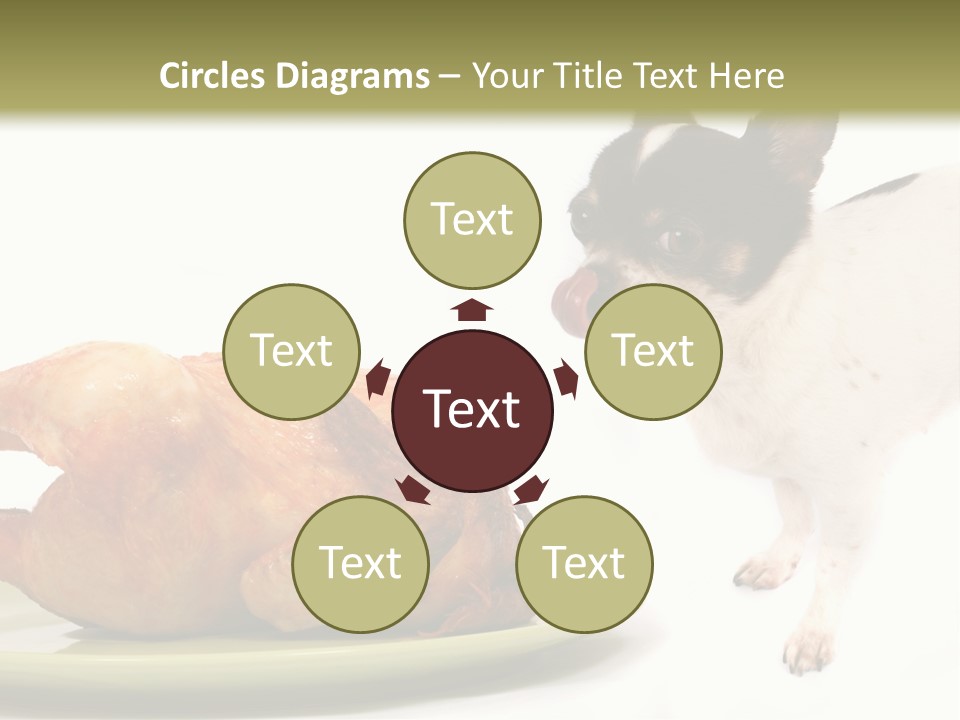 Dinner Shorthaired Shorthair PowerPoint Template