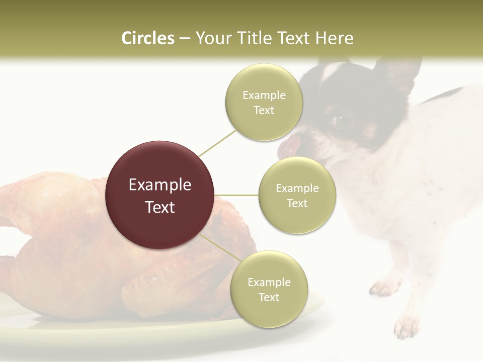 Dinner Shorthaired Shorthair PowerPoint Template