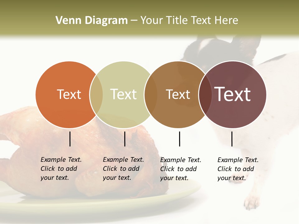 Dinner Shorthaired Shorthair PowerPoint Template