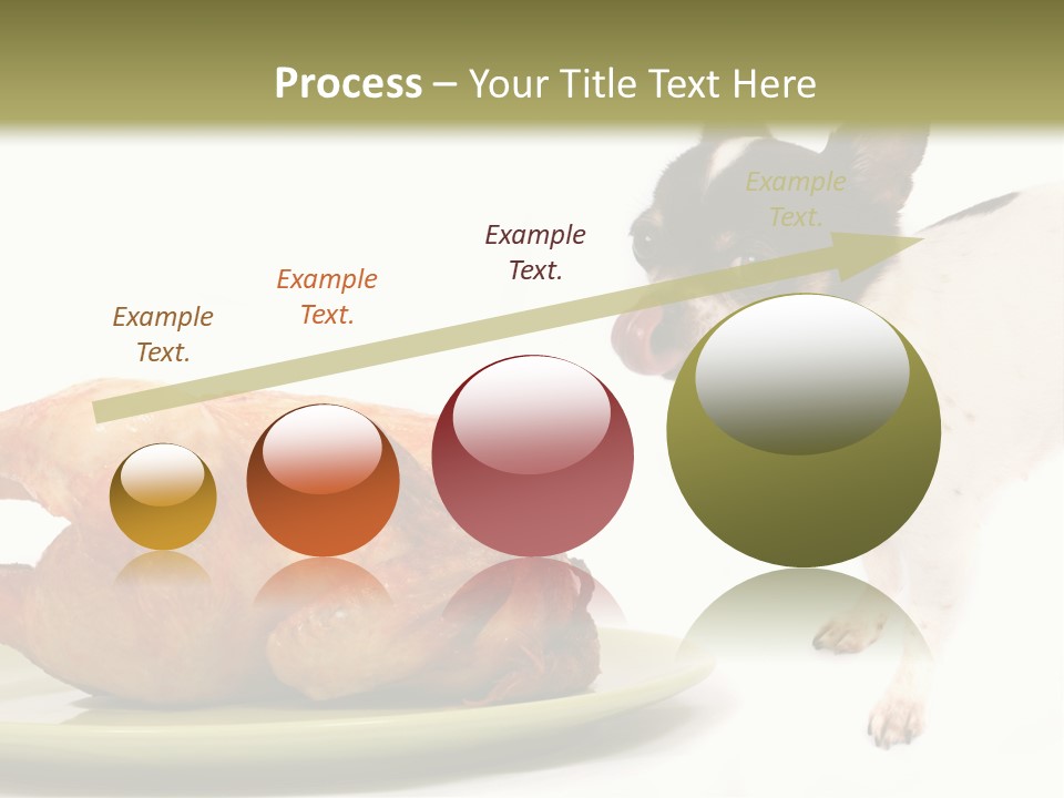 Dinner Shorthaired Shorthair PowerPoint Template