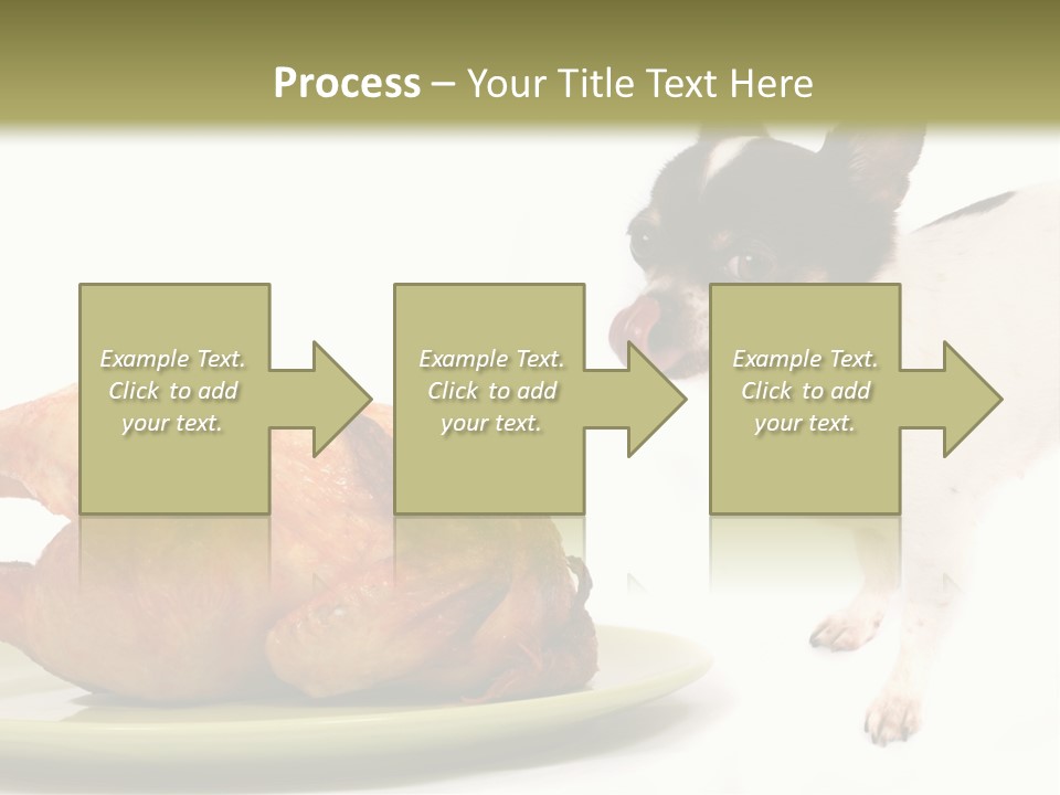 Dinner Shorthaired Shorthair PowerPoint Template