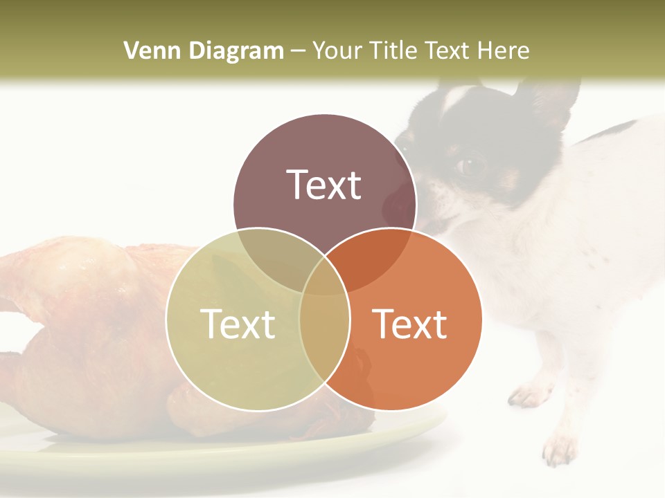 Dinner Shorthaired Shorthair PowerPoint Template