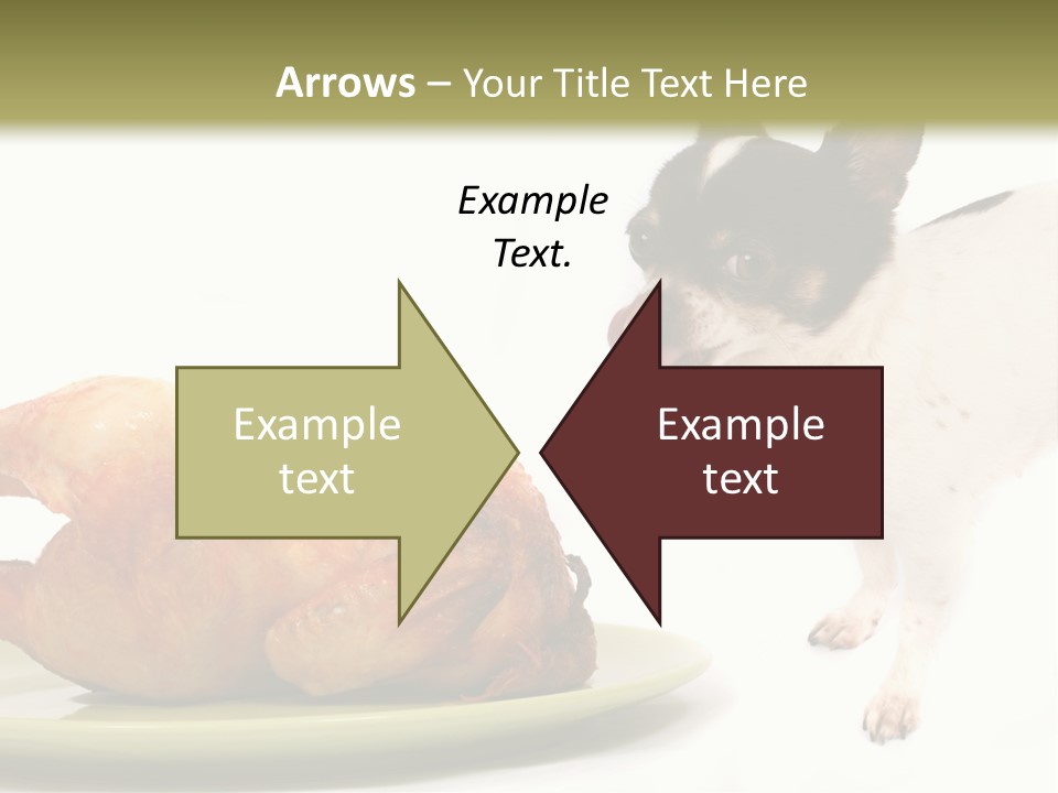 Dinner Shorthaired Shorthair PowerPoint Template