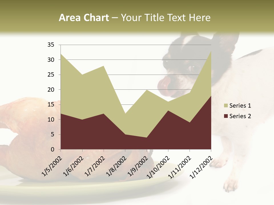 Dinner Shorthaired Shorthair PowerPoint Template