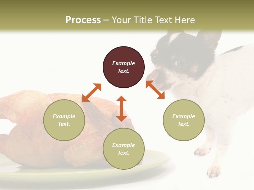 Dinner Shorthaired Shorthair PowerPoint Template