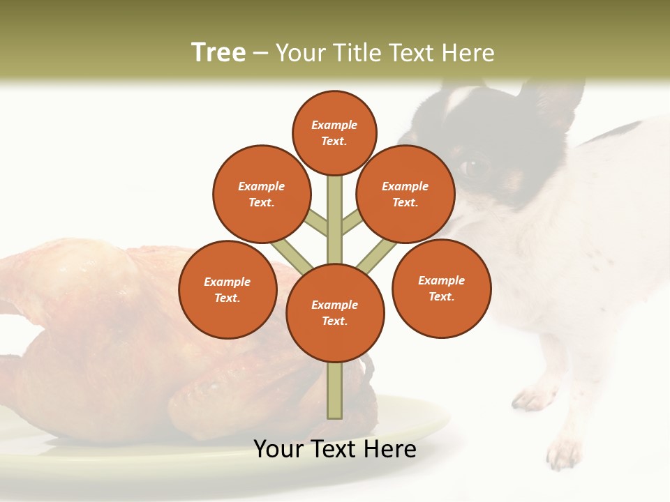 Dinner Shorthaired Shorthair PowerPoint Template