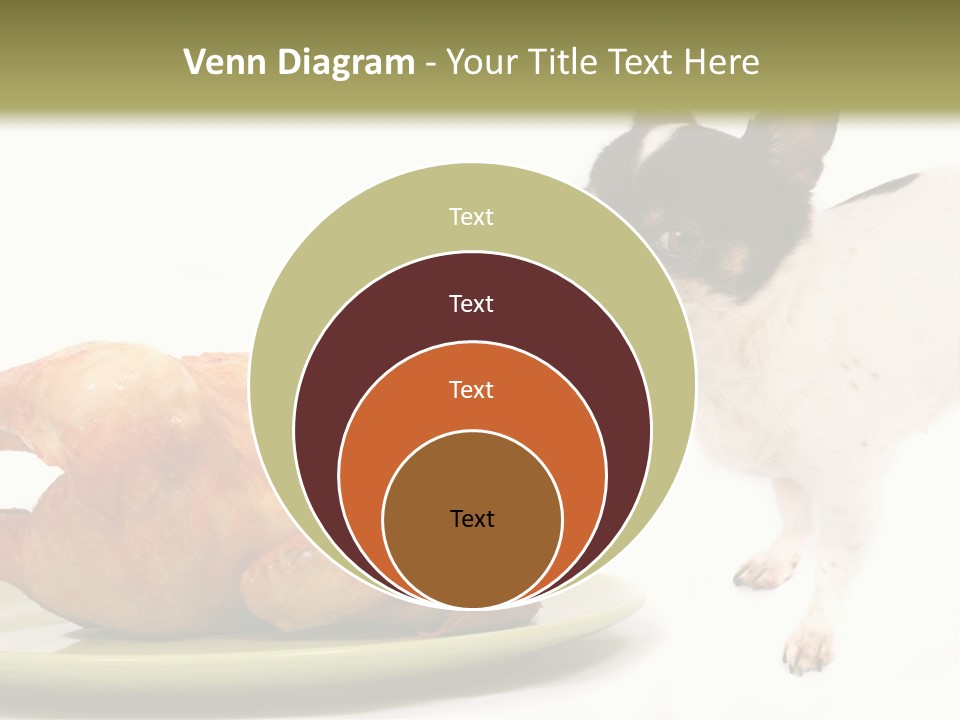 Dinner Shorthaired Shorthair PowerPoint Template