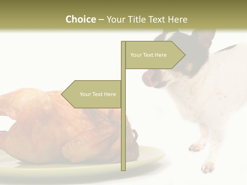 Dinner Shorthaired Shorthair PowerPoint Template