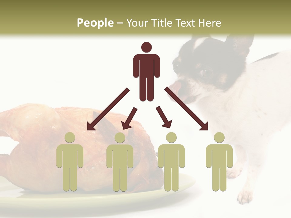 Dinner Shorthaired Shorthair PowerPoint Template