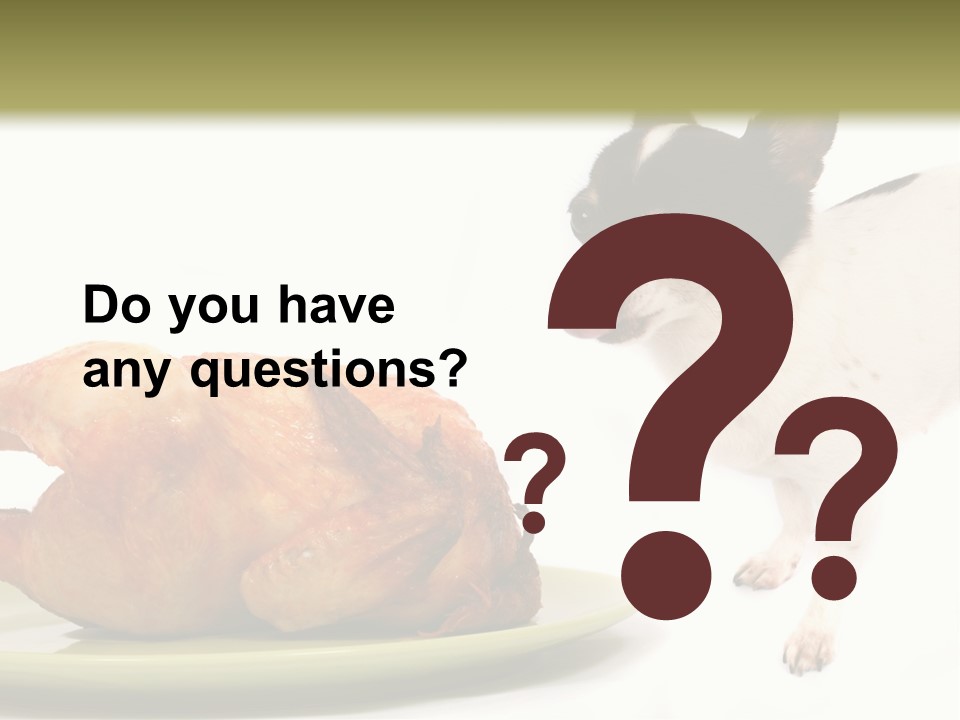 Dinner Shorthaired Shorthair PowerPoint Template