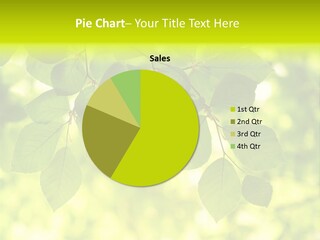 Park Green Woods PowerPoint Template