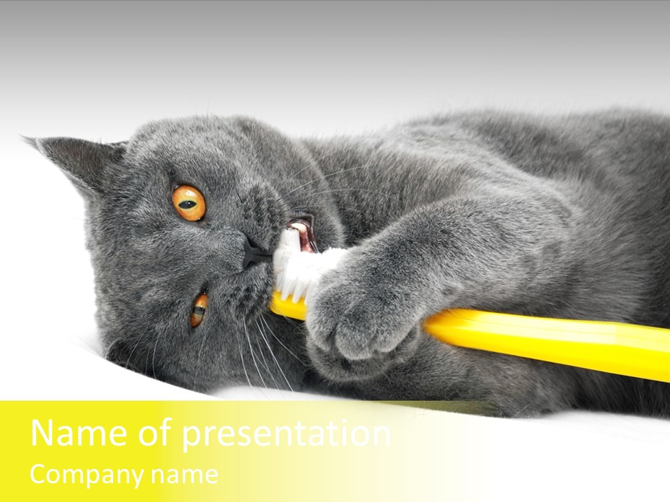 Hygiene Gold Household PowerPoint Template