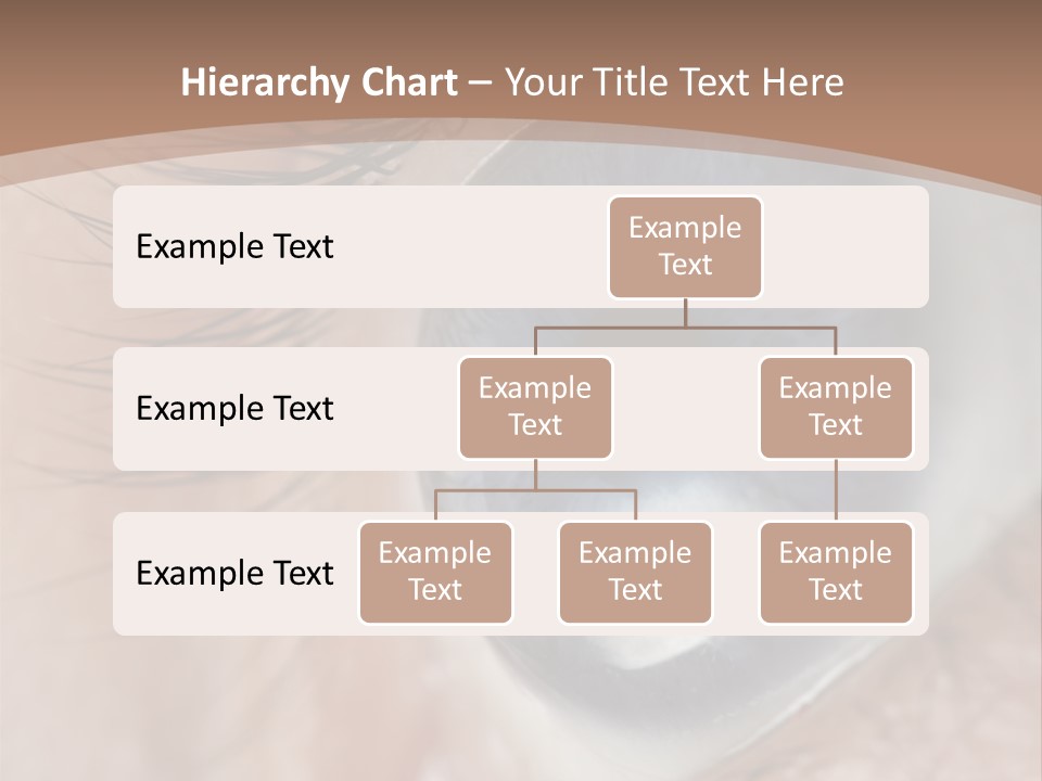 Light Pupil Background PowerPoint Template