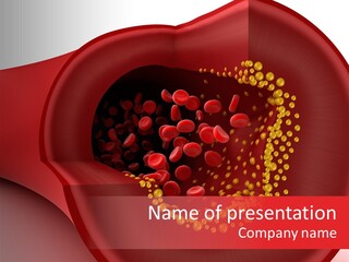 Structure Sliced Erythrocyte PowerPoint Template