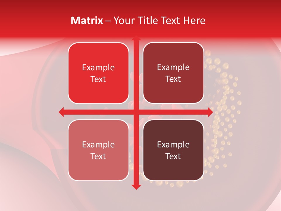 Structure Sliced Erythrocyte PowerPoint Template