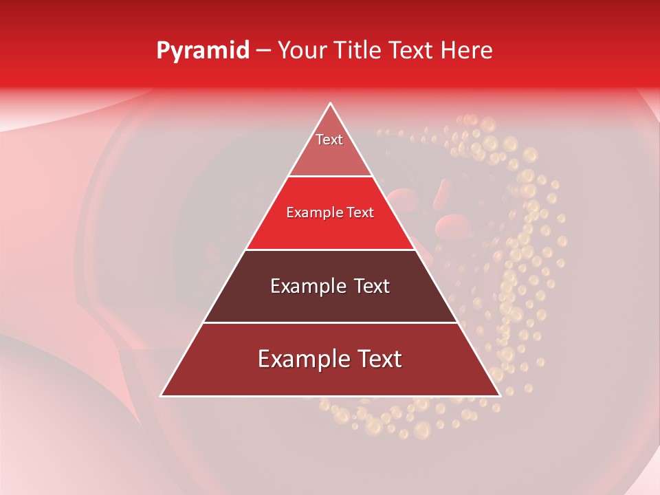 Structure Sliced Erythrocyte PowerPoint Template