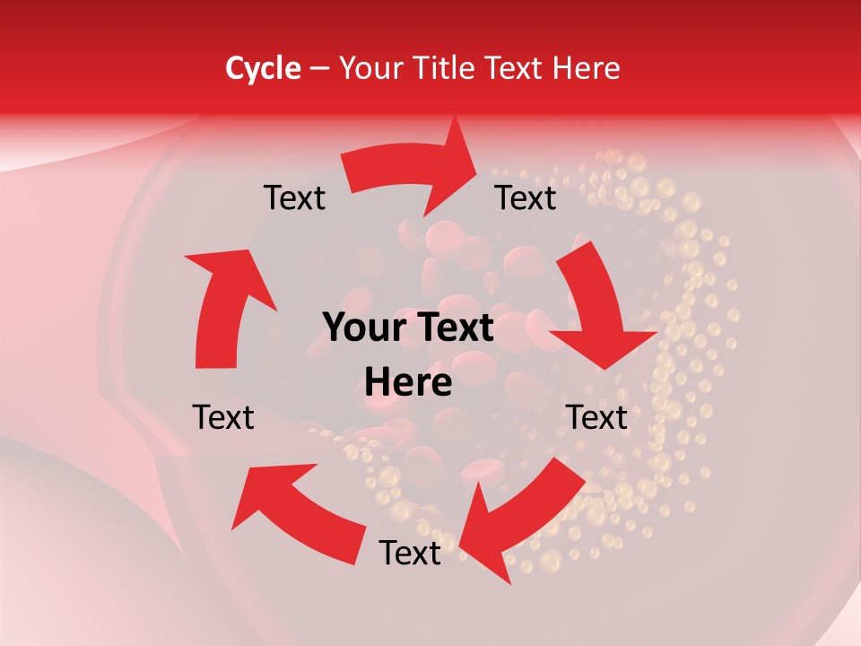 Structure Sliced Erythrocyte PowerPoint Template