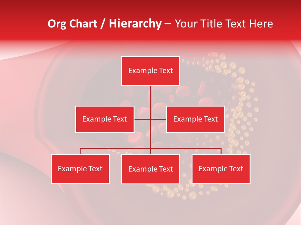 Structure Sliced Erythrocyte PowerPoint Template