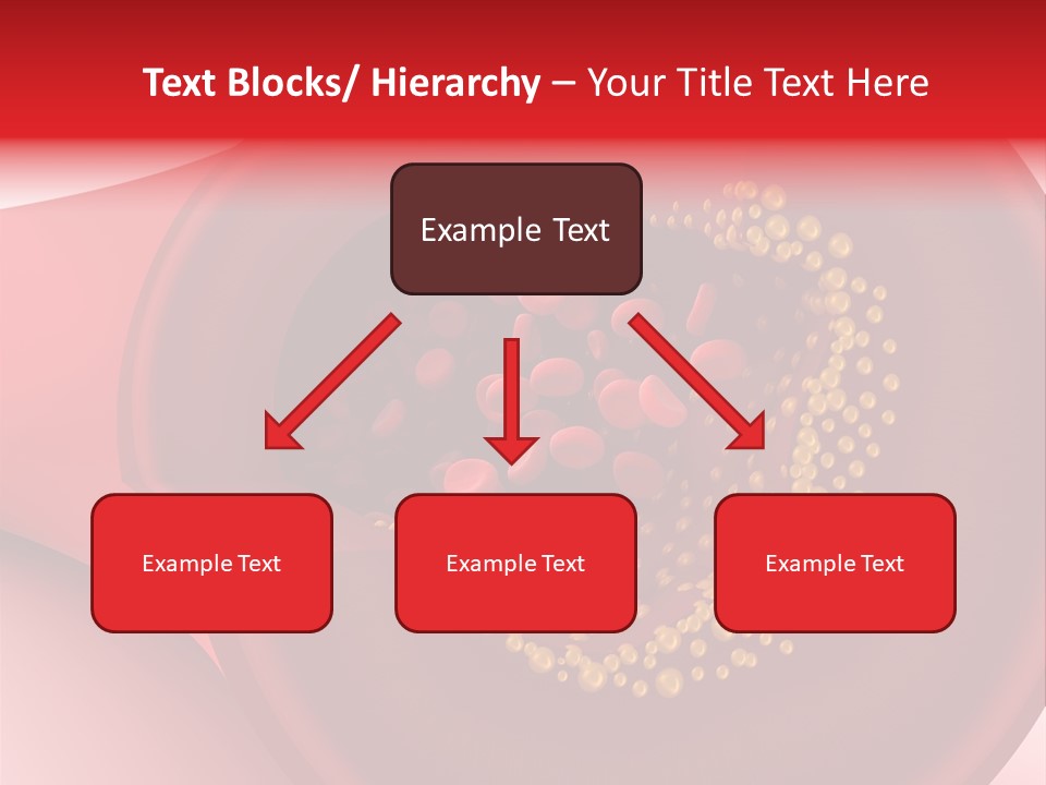 Structure Sliced Erythrocyte PowerPoint Template