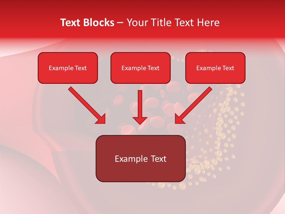 Structure Sliced Erythrocyte PowerPoint Template