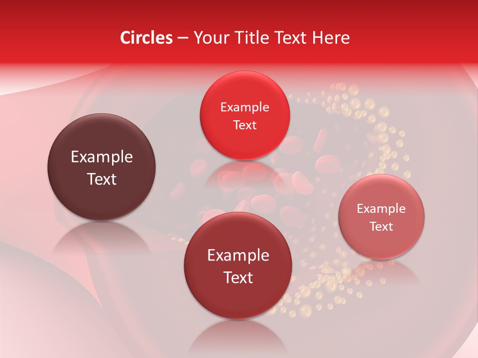 Structure Sliced Erythrocyte PowerPoint Template