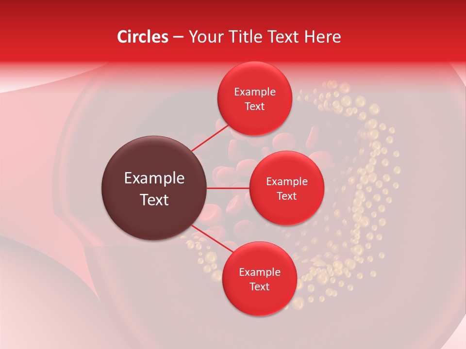 Structure Sliced Erythrocyte PowerPoint Template