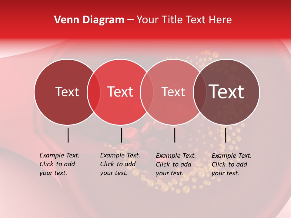 Structure Sliced Erythrocyte PowerPoint Template