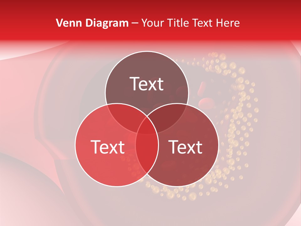Structure Sliced Erythrocyte PowerPoint Template