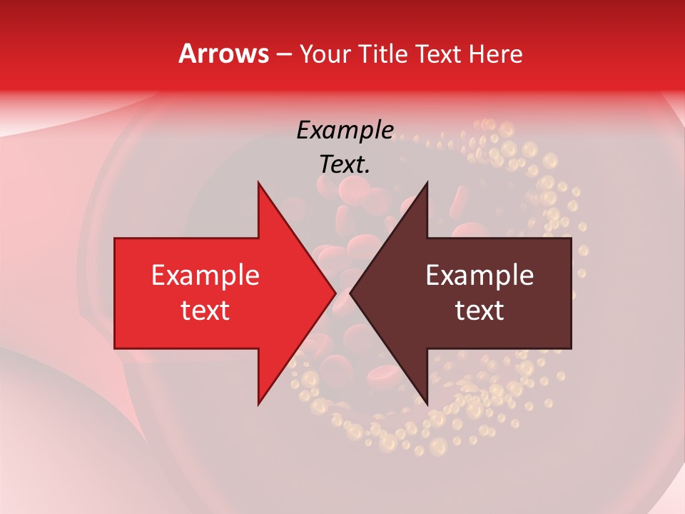 Structure Sliced Erythrocyte PowerPoint Template