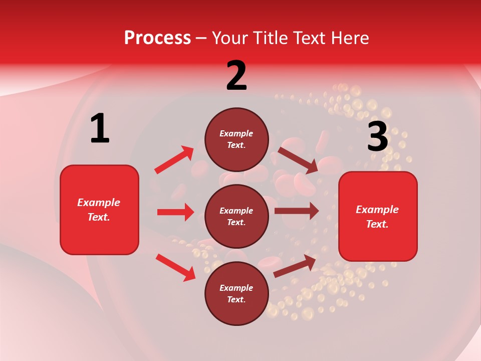 Structure Sliced Erythrocyte PowerPoint Template