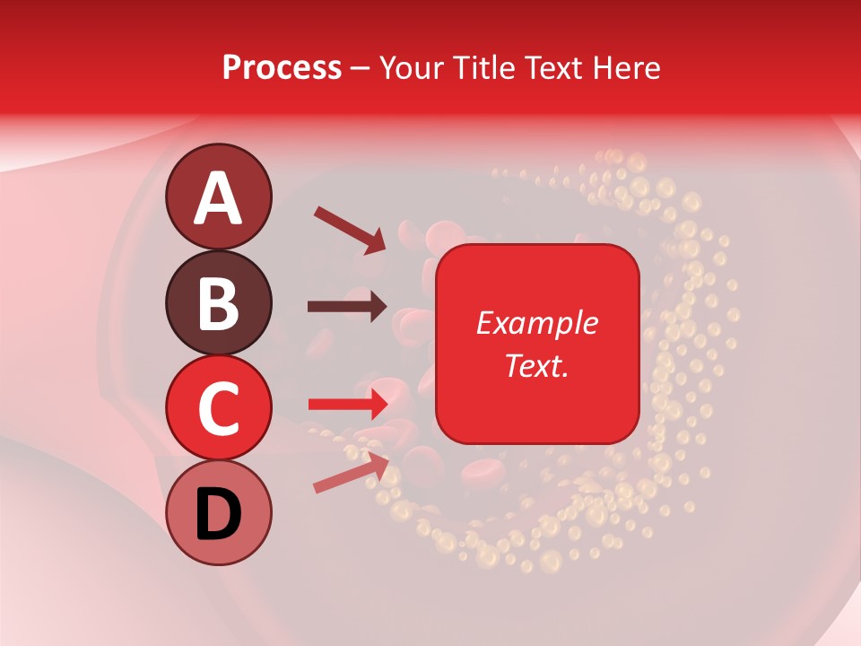 Structure Sliced Erythrocyte PowerPoint Template